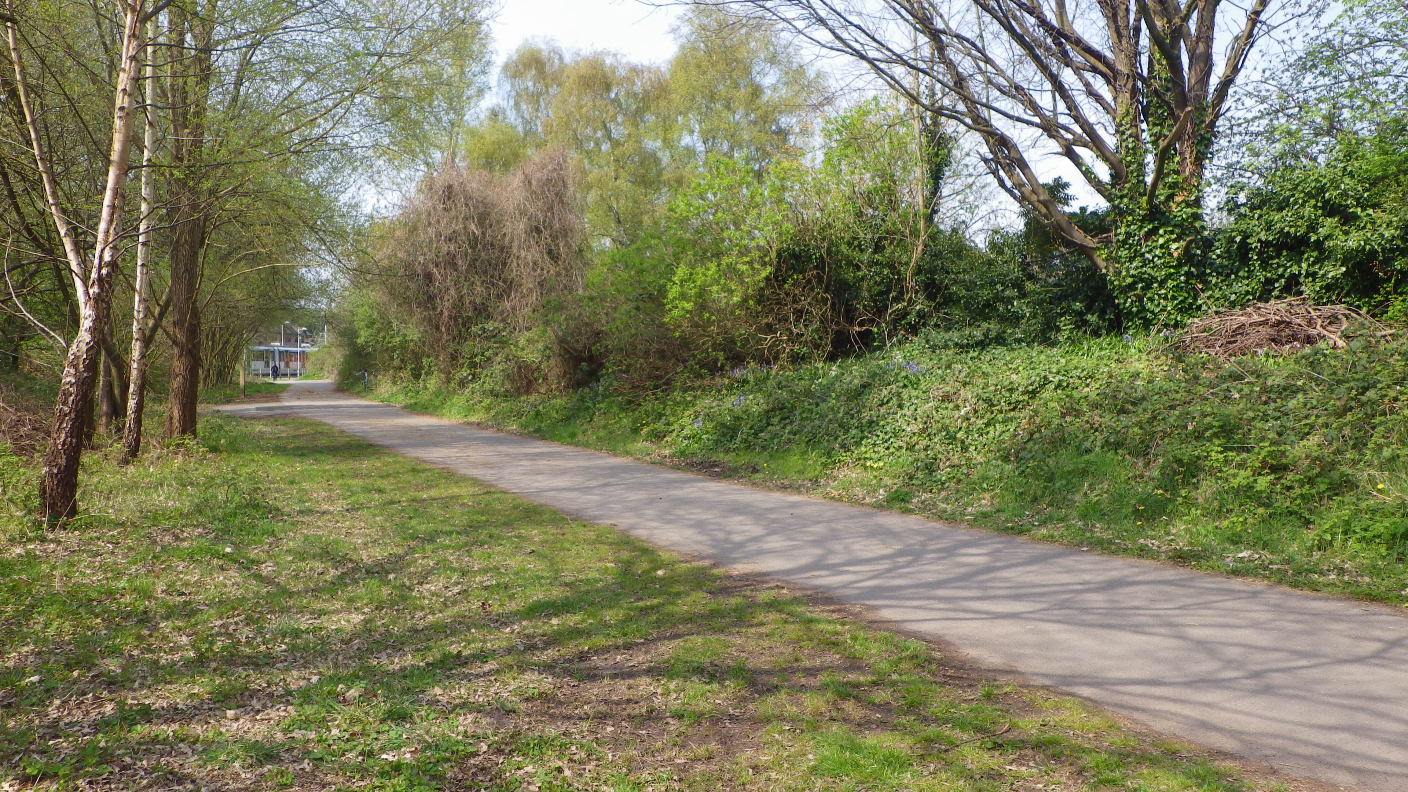 IMGP0934